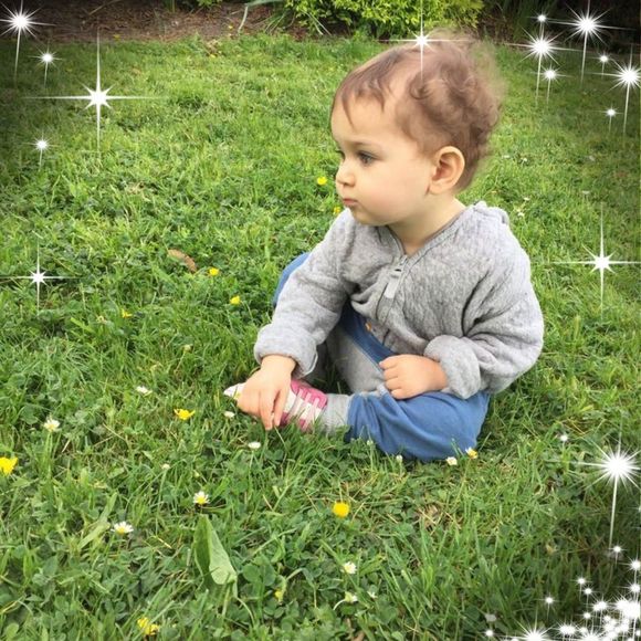 Meet your Posher, Robin - Picture 1 of 1